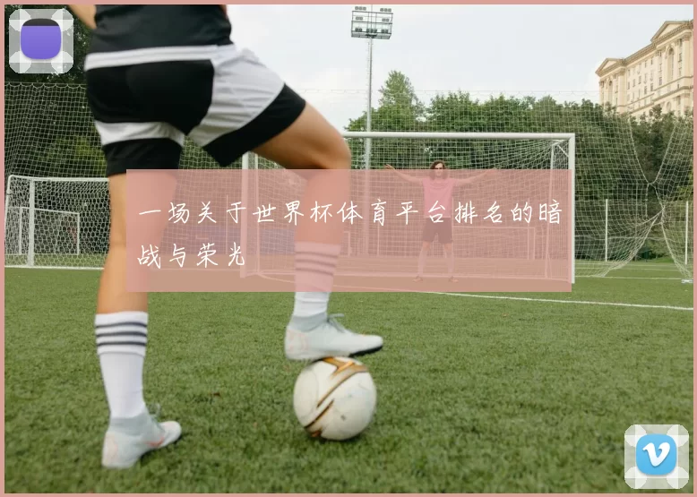 一场关于世界杯体育平台排名的暗战与荣光