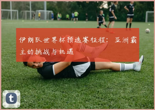伊朗队世界杯预选赛征程：亚洲霸主的挑战与机遇