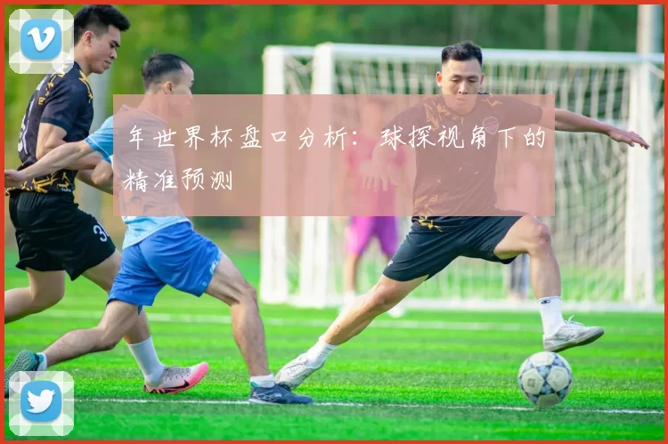 年世界杯盘口分析:球探视角下的精准预测