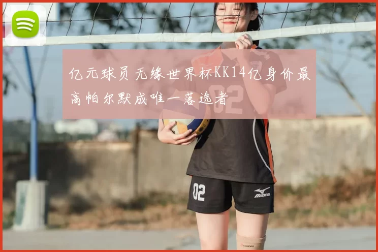 亿元球员无缘世界杯KK14亿身价最高帕尔默成唯一落选者