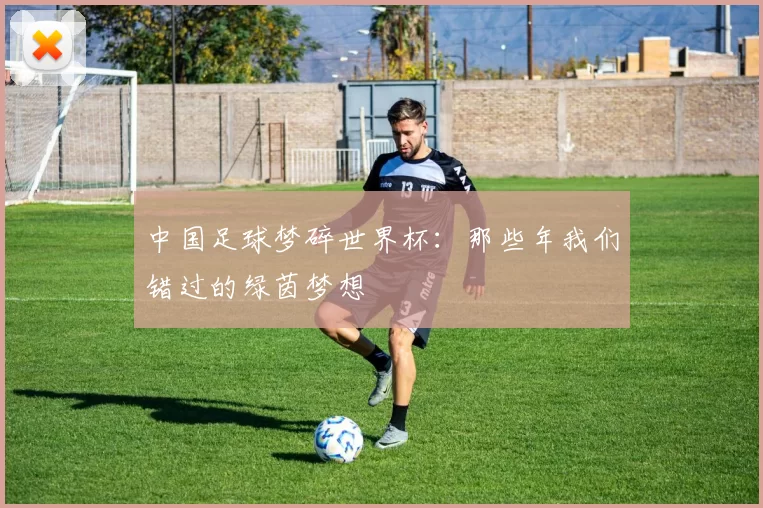 中国足球梦碎世界杯：那些年我们错过的绿茵梦想