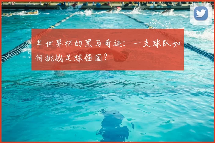 年世界杯的黑马奇迹:一支球队如何挑战足球强国?