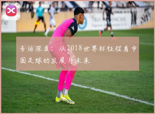 专访深度:从2018世界杯征程看中国足球的发展与未来