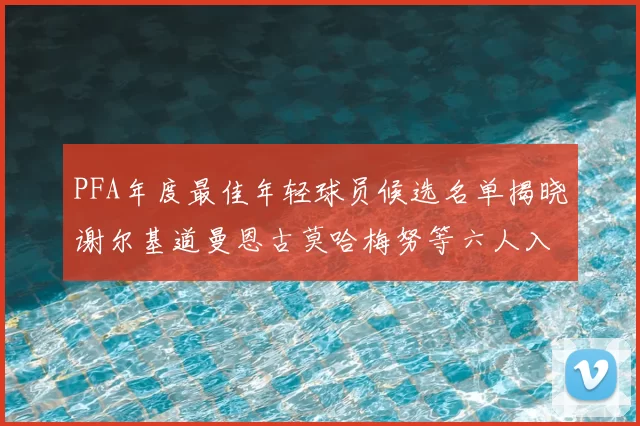 PFA年度最佳年轻球员候选名单揭晓谢尔基道曼恩古莫哈梅努等六人入围