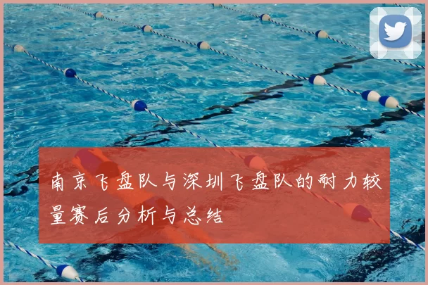 南京飞盘队与深圳飞盘队的耐力较量赛后分析与总结