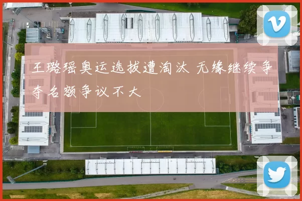 王璐瑶奥运选拔遭淘汰 无缘继续争夺名额争议不大
