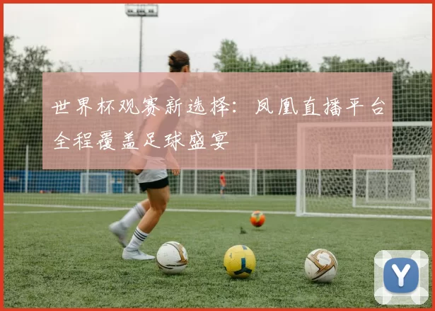 世界杯观赛新选择:凤凰直播平台全程覆盖足球盛宴